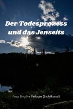 Pélagie, M: Todesprozess und das Jenseits (Paperback) af Madame Brigitte Pélagie