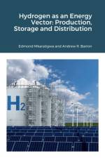 Hydrogen as an Energy Vector af Edmond Mkaratigwa