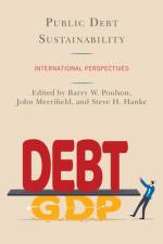 Public Debt Sustainability af Barry W Poulson