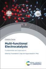 Multi-Functional Electrocatalysts af Viswanathan S Saji