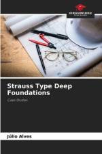 Strauss Type Deep Foundations af JÃºlio Alves