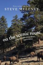 On The Scenic Route af Steve Meleney