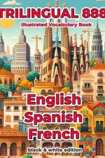 Trilingual 888 English Spanish French Illustrated Vocabulary Book af Rosita Villareal
