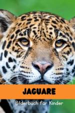 Jaguare af Dorian Amansi