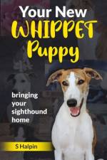 Your New WHIPPET Puppy af S Alcober Halpin