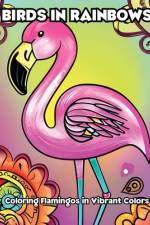 Birds in Rainbows