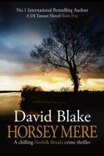 Horsey Mere af David Blake
