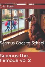 Seamus the Famous Vol 2 af Seamus Black