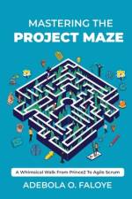Mastering The Project Maze af Adebola O Faloye