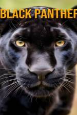 Black Panther af Antonio Richter