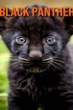 Black Panther af Gabriella Hoffmann