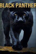 Black Panther af Victoria Orman
