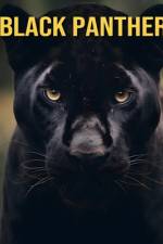 Black Panther af Debbie Ziegler