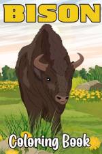 Bison Coloring Book