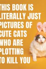 This Book is Literally Just Pictures of Cute Cats Who Are Plotting to Kill You