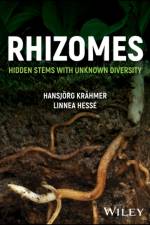 Rhizomes