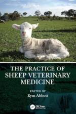 Sheep Veterinary Practice