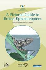 A Pictorial Guide to British Ephemeroptera af Craig Macadam
