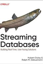Streaming Databases af Hubert Dulay