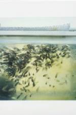 Swimming on the Building af Saori Tao