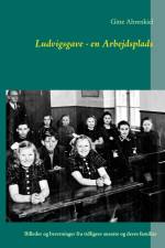 Ludvigsgave - en Arbejdsplads af Gitte Ahrenkiel