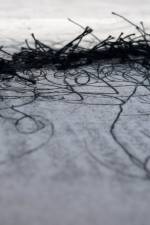 Sammenfiltret af Eleanor Havsteen-Franklin