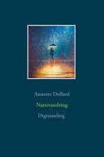 Nattevandring af Annette Dollard