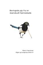 Bevingede pip fra en skamskudt hjerneskade af Marco Hanuman