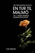 En tur til Malmö