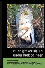 Hund graver sig ud under Hæk og Hegn af Gitte Ahrenkiel