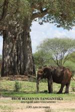 Bror Blixen in Tanganyika