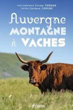 Auvergne montagne a vaches