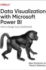 Data Visualization with Microsoft Power Bi af Alex Kolokolov