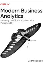 Modern Business Analytics af Deanne Larson