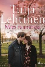 Mies raameissa af Tuija Lehtinen