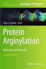 Protein Arginylation