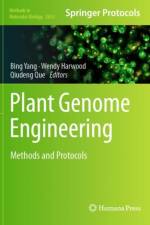 Plant Genome Engineering