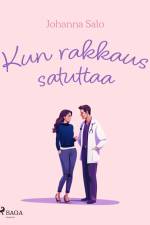 Kun rakkaus satuttaa af Johanna Salo