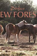 Perfect New Forest af Mike Rea