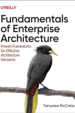 Fundamentals of Enterprise Architecture af Tanu McCabe