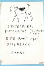 Please Look in the Basement af Maarten Inghels
