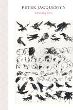 Peter Jacquemyn: Drawing First af Peter Jacquemyn