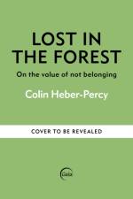 Lost in the Forest