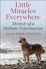 Little Miracles Everywhere af Marcie Fallek