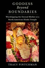 Goddess Beyond Boundaries af Pintchman