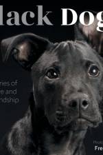 Black Dogs af Fred Levy