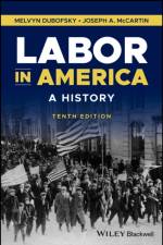 Labor in America af Melvyn (State University of New York at Binghamton Dubofsky
