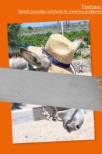 Travelogue: Greek everyday solutions to common problems af Loukas Angelou