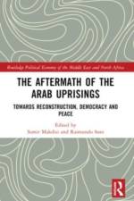 The Aftermath of the Arab Uprisings