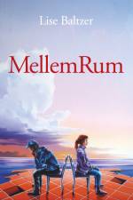MellemRum af Lise Baltzer